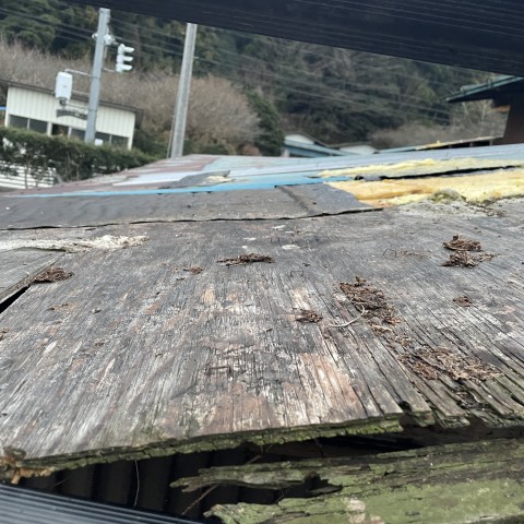 強風の屋根被害サムネイル